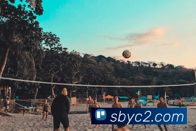 多媒体互动体验